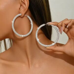 Crystal Circle Hoop Earrings
